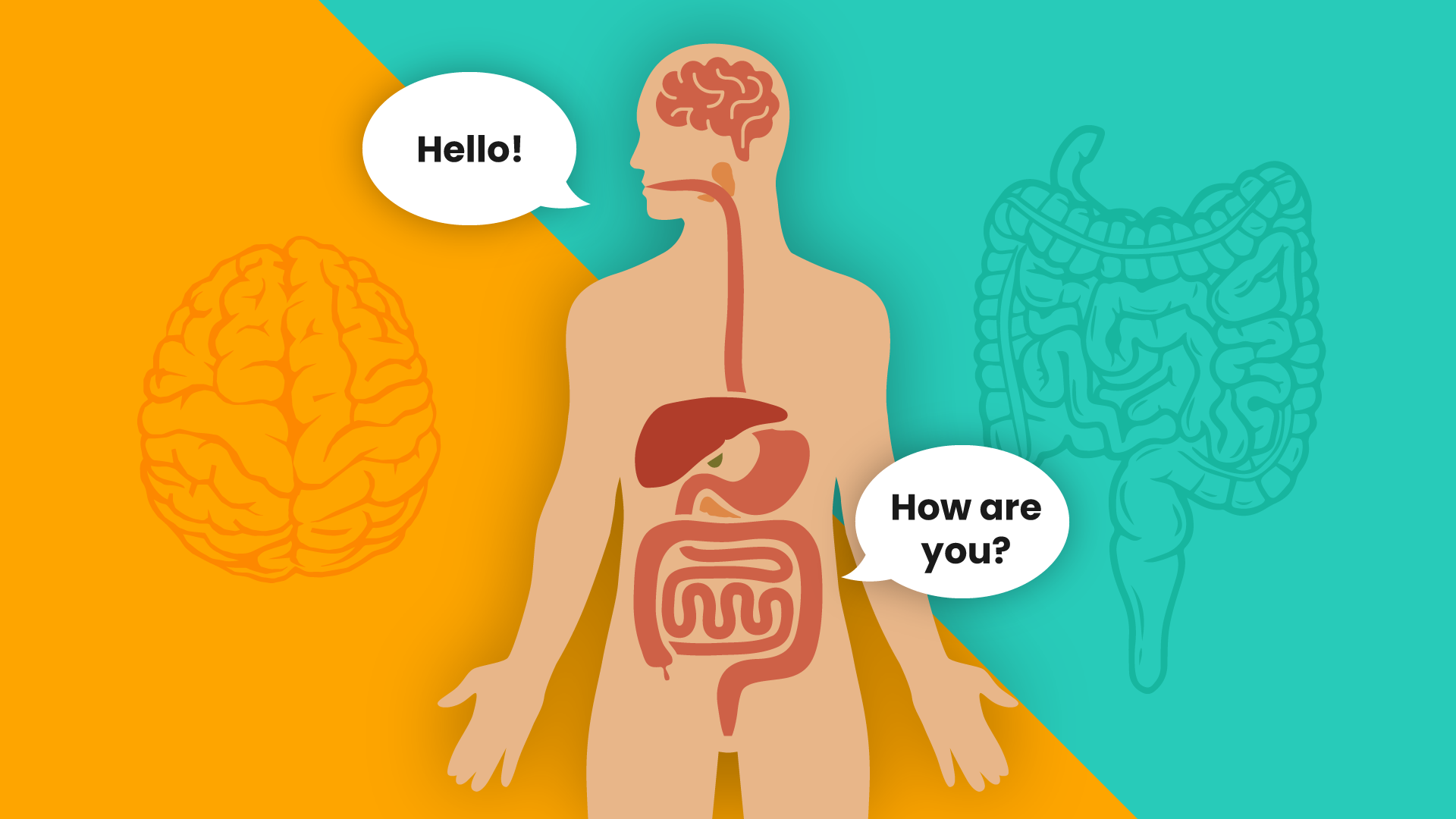 GUT BRAIN CONNECTION AND THE LINK BETWEEN DEMENTIA AND ACID REFLUX MEDICATIONS!